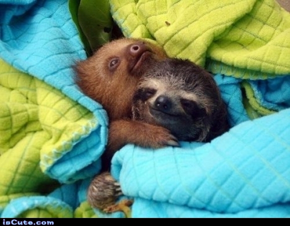 ic_c8d4df4c0b2aa0e4b7784a8e5dab4c5b